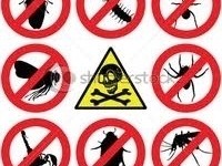 Dezinsekcija Deratizacija Dezinfekcija