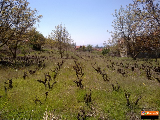 Prodavam Plac Od 2600m2 Vo Orovnik-ohrid