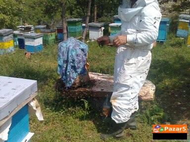 Med, Polenov Prav, Propolis - Мед, поленов прав, п