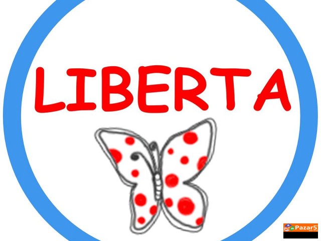 СЕДИШТЕ ЗА КОЛА - Beta Plus (lorelli)