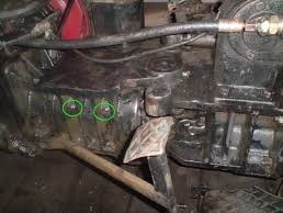 Crevo Za Toma Vinkovic