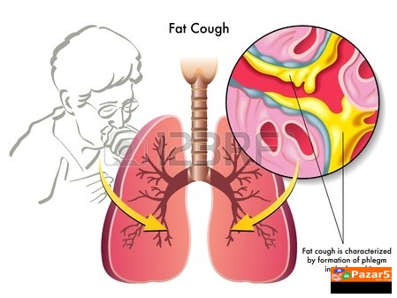  Б Р О Н Х О В И Т А Л - ЗА ДИШНИТЕ ПАТИШТА
