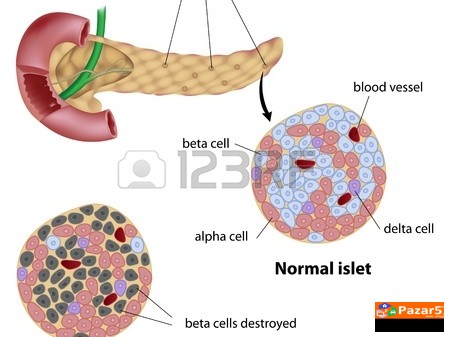 Bilni Kapki Protiv Visok Seker Vo Krvta