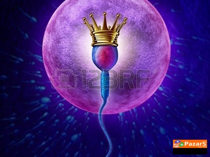  Apiherbal Za Maska I Zenska Plodnost