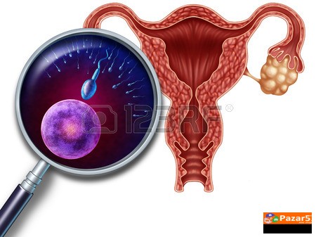  Apiherbal Za Maska I Zenska Plodnost