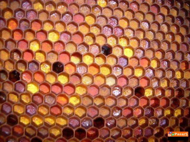 МАТИЧЕН МЛЕЧ,ПРОПОЛИС,ПЕРГА,МЕД,ЛЕКОВИТИ БИЛКИ,МЕЛ