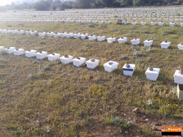 МАТИЧЕН МЛЕЧ,ПРОПОЛИС,ПЕРГА,МЕД,ЛЕКОВИТИ БИЛКИ,МЕЛ