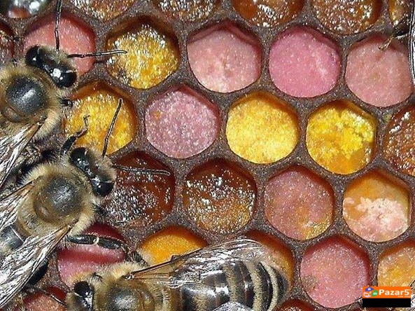  Apiherbal-natural Pharmacy