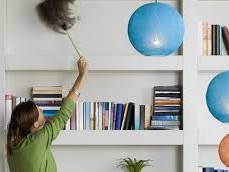  Profesionalen Servis Za Cistenje Stanovi