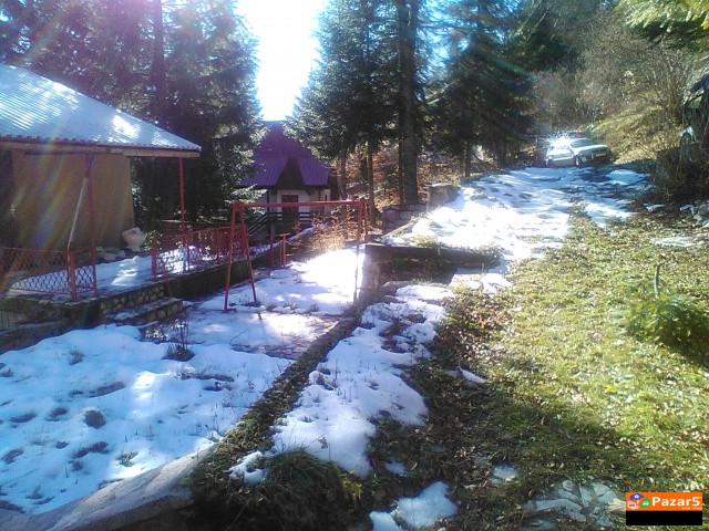 Prodavam Vikedicka Vo Mavrovi Anovi