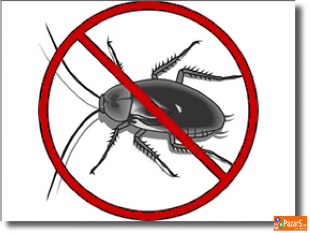 Dezinsekcija Deratizacija