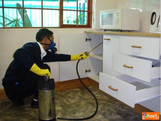 Dezinsekcija Deratizacija