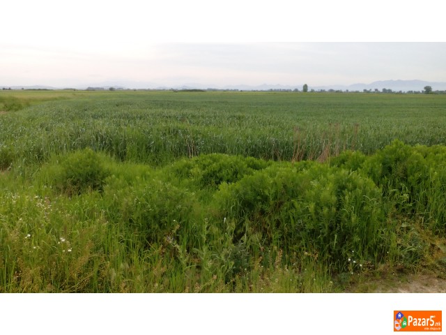 Se Prodava Pogolem Plac