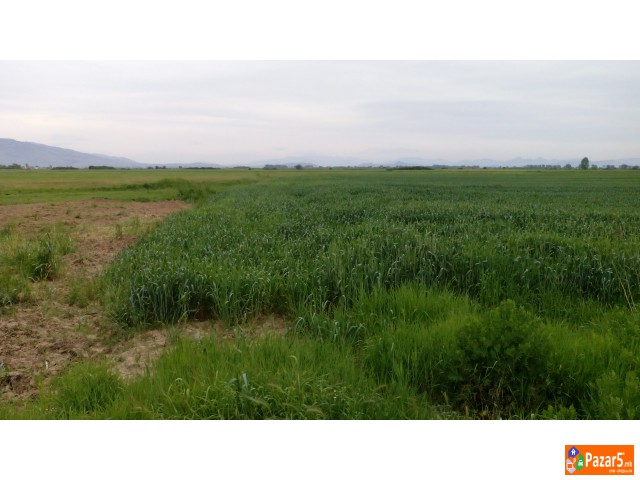 Se Prodava Pogolem Plac