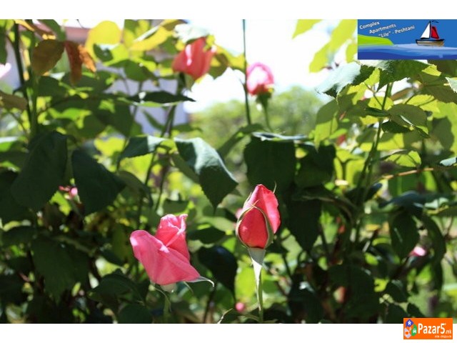 Apartmani Lile Pestani