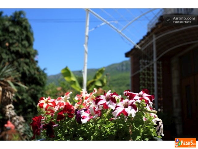 Lile Pestani Apartmani I Bungalowi