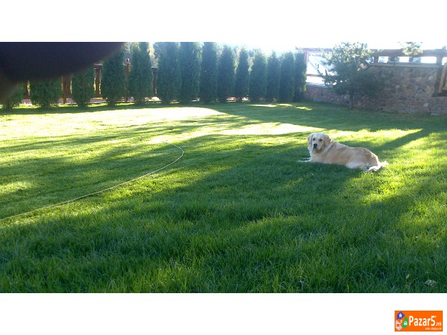 Vila Damjan Berovsko Ezero