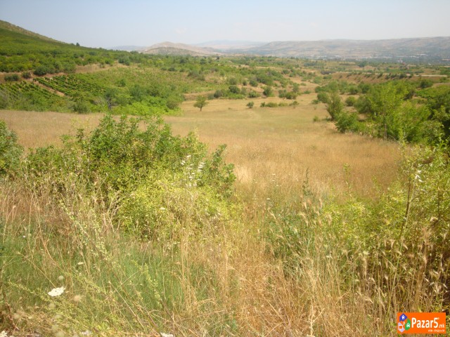 Atraktivni I Evtini Nivi