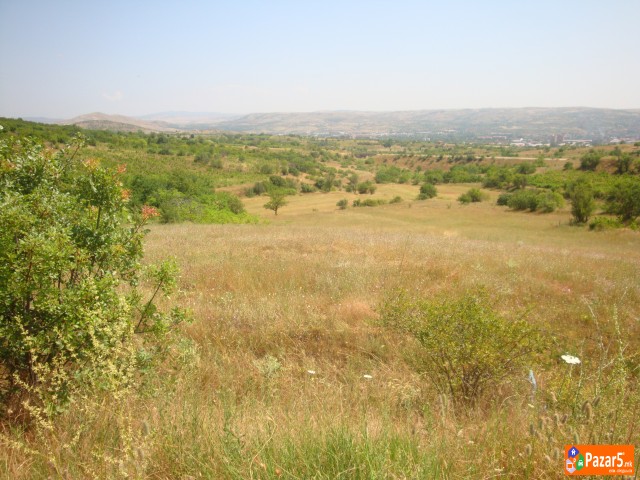 Atraktivni I Evtini Nivi