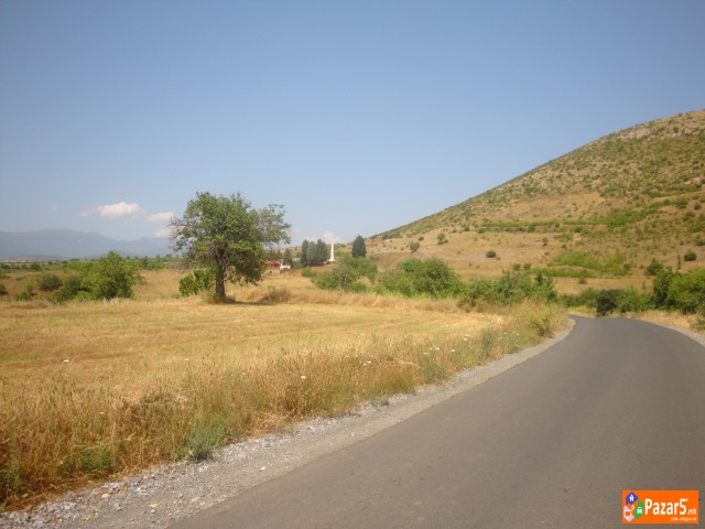 Atraktivni I Evtini Nivi