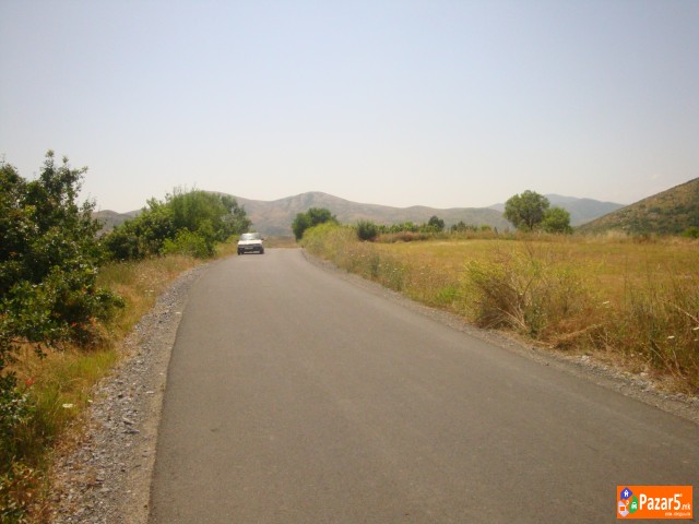 Atraktivni I Evtini Nivi