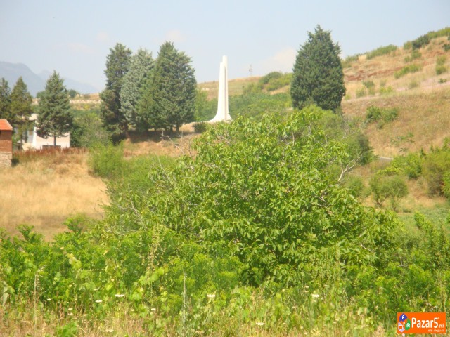 Atraktivni I Evtini Nivi