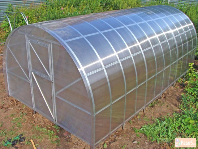 Prodazba Na Plastenici Od Pleksiglas So 10 Godini 