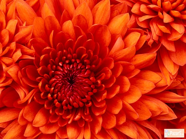 Evtina Nov Gejmerski Kompjuter I5 4590