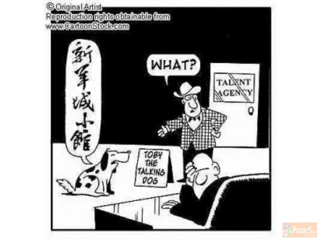 Англиски превод фактури за возила итн 077640715