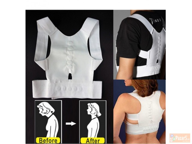 ортомагнет - магнетен појас за 'рбет