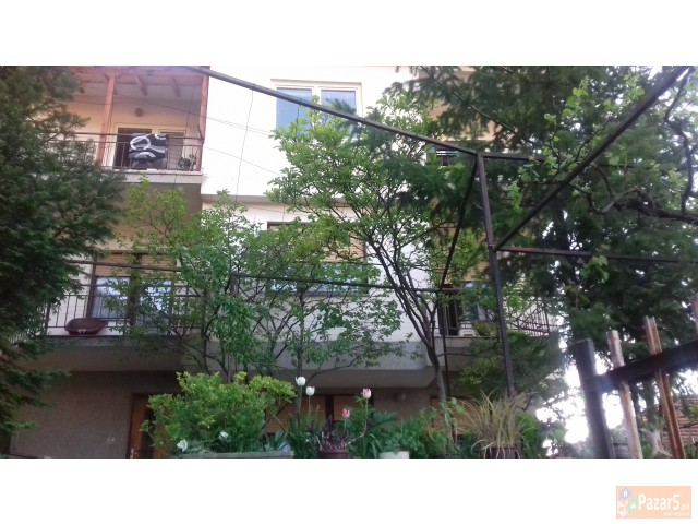 Куќа во шумата под Самоилови тврдини