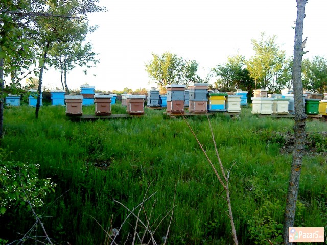 Prodavam Pcelni Semejstva, Topilnik Za Vosok I Pla