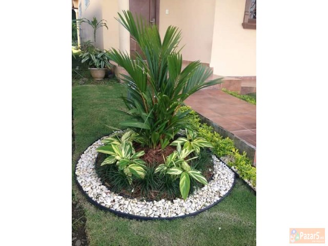 ДЕКОРАТИВНИ КАМЧИЊА ЗА ДВОР