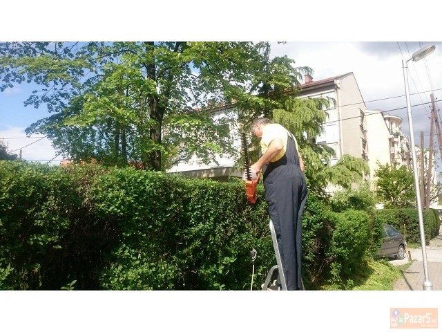 Уредување на дворови и зеленило