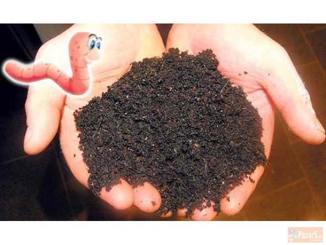 Kaliforniski Crvi I Biohumus