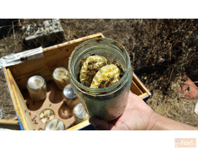 природен мед