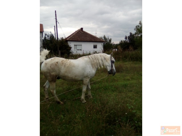 Gligorovaleksandar3@gmail.com