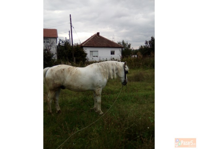 Gligorovaleksandar3@gmail.com