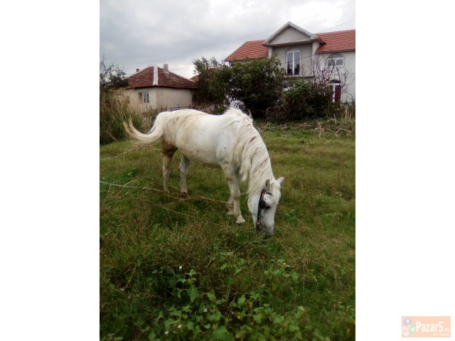 Gligorovaleksandar3@gmail.com