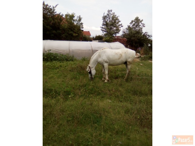 Gligorovaleksandar3@gmail.com