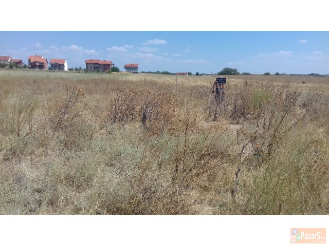 Плац во гладно поље