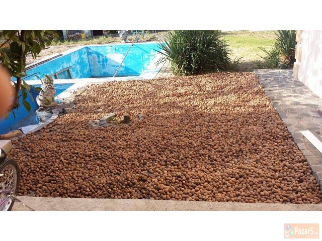 Prodavam Jatka I Nekrsen Orev