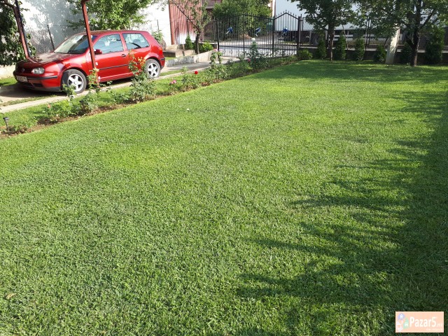 Golf 4 Benzin + Plin