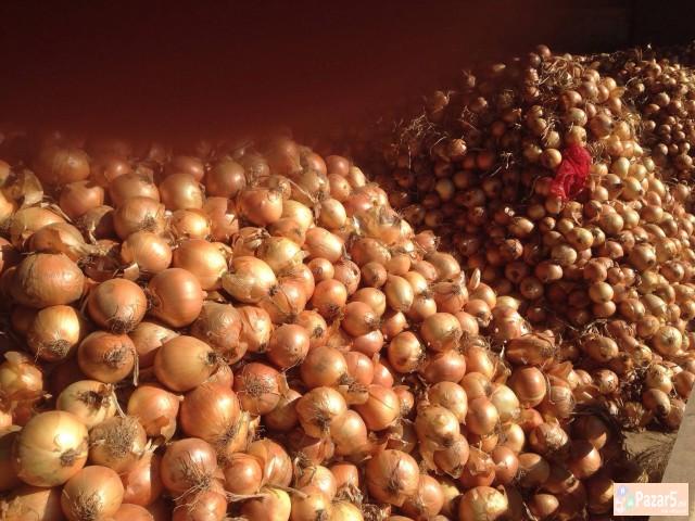 Кромид / Kromid