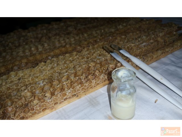 МАТИЧЕН МЛЕЧ - ПЧЕЛАРСТВО ДОДЕВСКИ