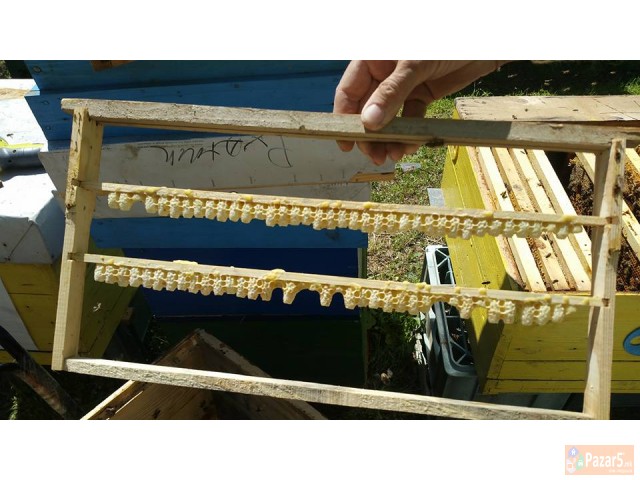 МАТИЧЕН МЛЕЧ - ПЧЕЛАРСТВО ДОДЕВСКИ