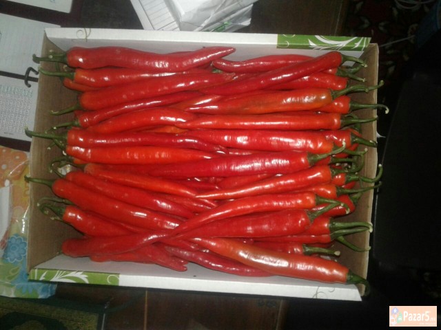 Се продава пипер