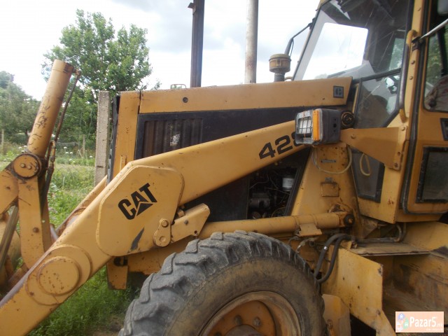 Bager Cat 428
