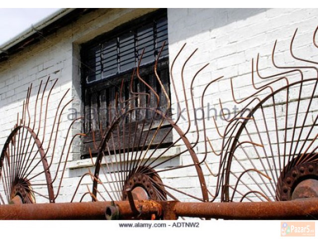 Kupuvam Senosobiracka Sonce 