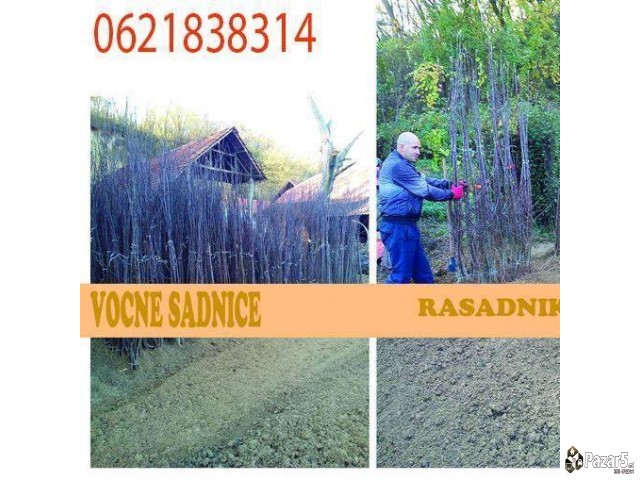 Proizvodnja I Prodaja Svih Vrsti Sadnica